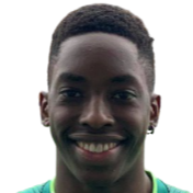 米尔沙米