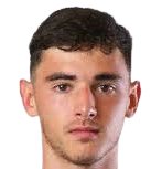 韦康比流浪者